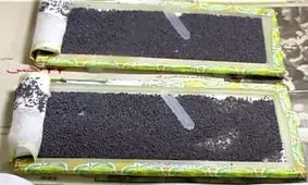 ‌ ۷۰ جعبه تخم نوغان در بین نوغاداران قزوین توزیع می‌شود