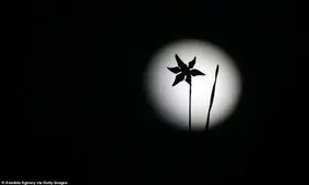 تصاویری از آخرین ابرماه سال ۲۰۲۰ در آسمان برخی کشورهای جهان