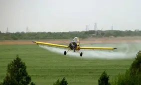 مبارزه با آفات در ۱۰ هزار هکتار اراضی کشاورزی استان سمنان