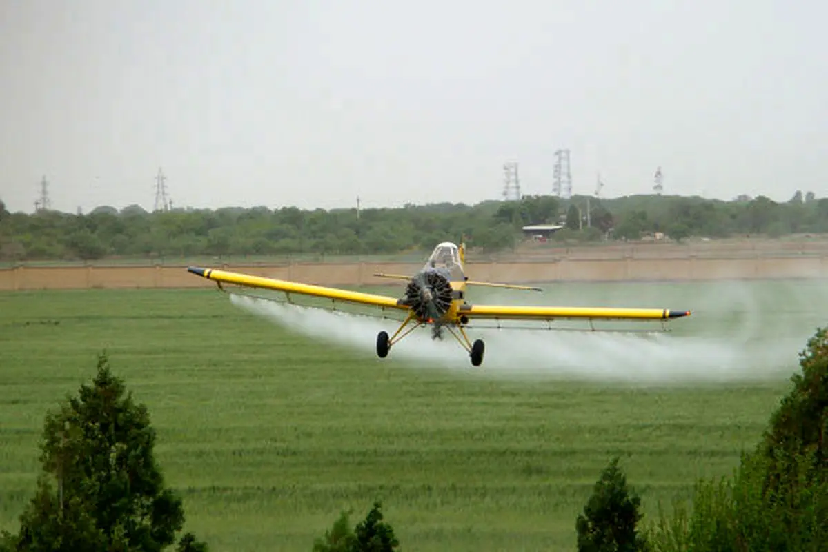 مبارزه با آفات در ۱۰ هزار هکتار اراضی کشاورزی استان سمنان