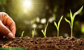 صبر و انتظار را از نو بیاموزیم+ 6 تکنیک برای پرورش صبر