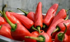 فوائد جالب یکی از پرمصرف‌ترین ادویه‌ها در آشپزی