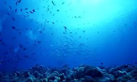 افزایش سطح آب دریاها تا سال ۲۱۰۰