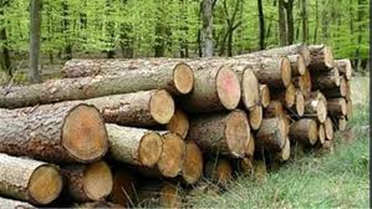خوشامدگویی به کرونا ویروس