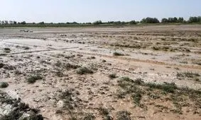 خسارت ۵۰ میلیارد ریالی طوفان و سیل اردیبهشت به بخش کشاورزی