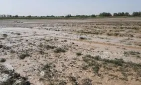خسارت ۵۰ میلیارد ریالی طوفان و سیل اردیبهشت به بخش کشاورزی