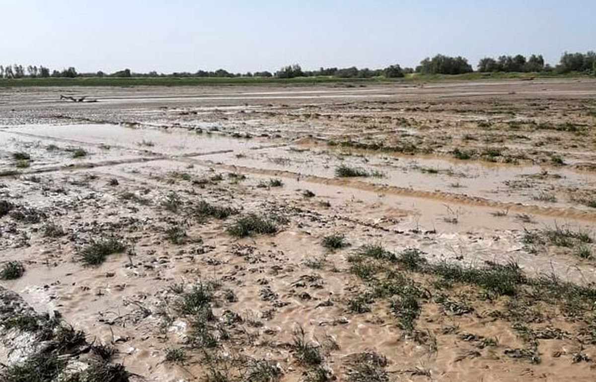 خسارت ۵۰ میلیارد ریالی طوفان و سیل اردیبهشت به بخش کشاورزی