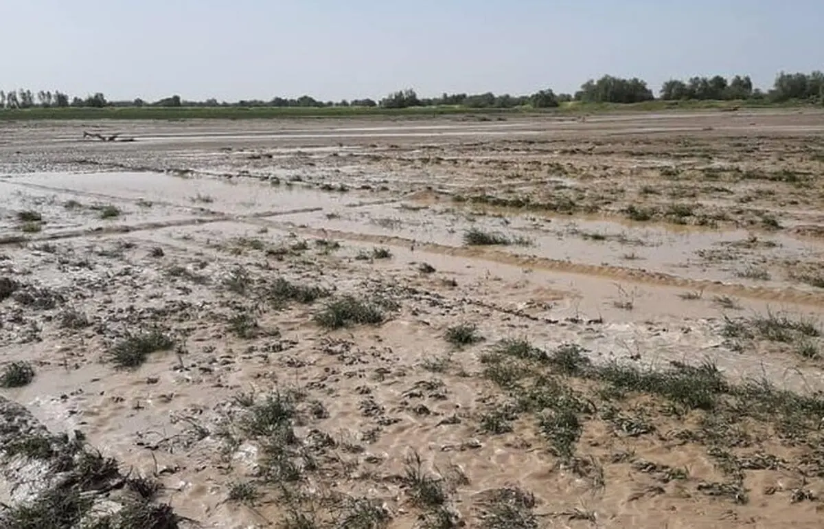 خسارت ۵۰ میلیارد ریالی طوفان و سیل اردیبهشت به بخش کشاورزی