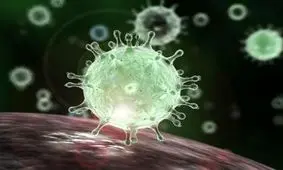 ابتلای ۱۵ نفر به کرونا در فسا با برگزاری مراسم ختم درگذشت یک مادر بزرگ