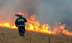 ۲۰ هکتار مراتع کنگان بوشهر در آتش سوخت