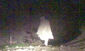 فیلم| این اوستا ادعا کرده که شاگردش یک جن است