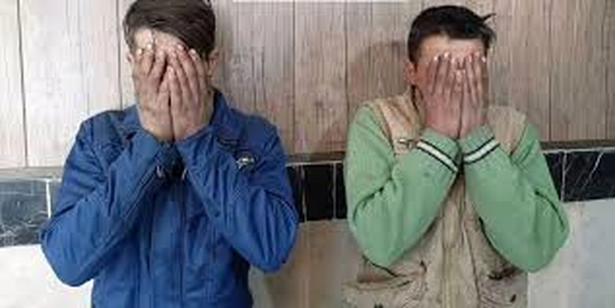 دستگیری سارقان اماکن دولتی در مرند