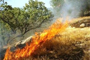 هشدار محیط زیست درباره احتمال وقوع آتش سوزی در مناطق کوهستانی