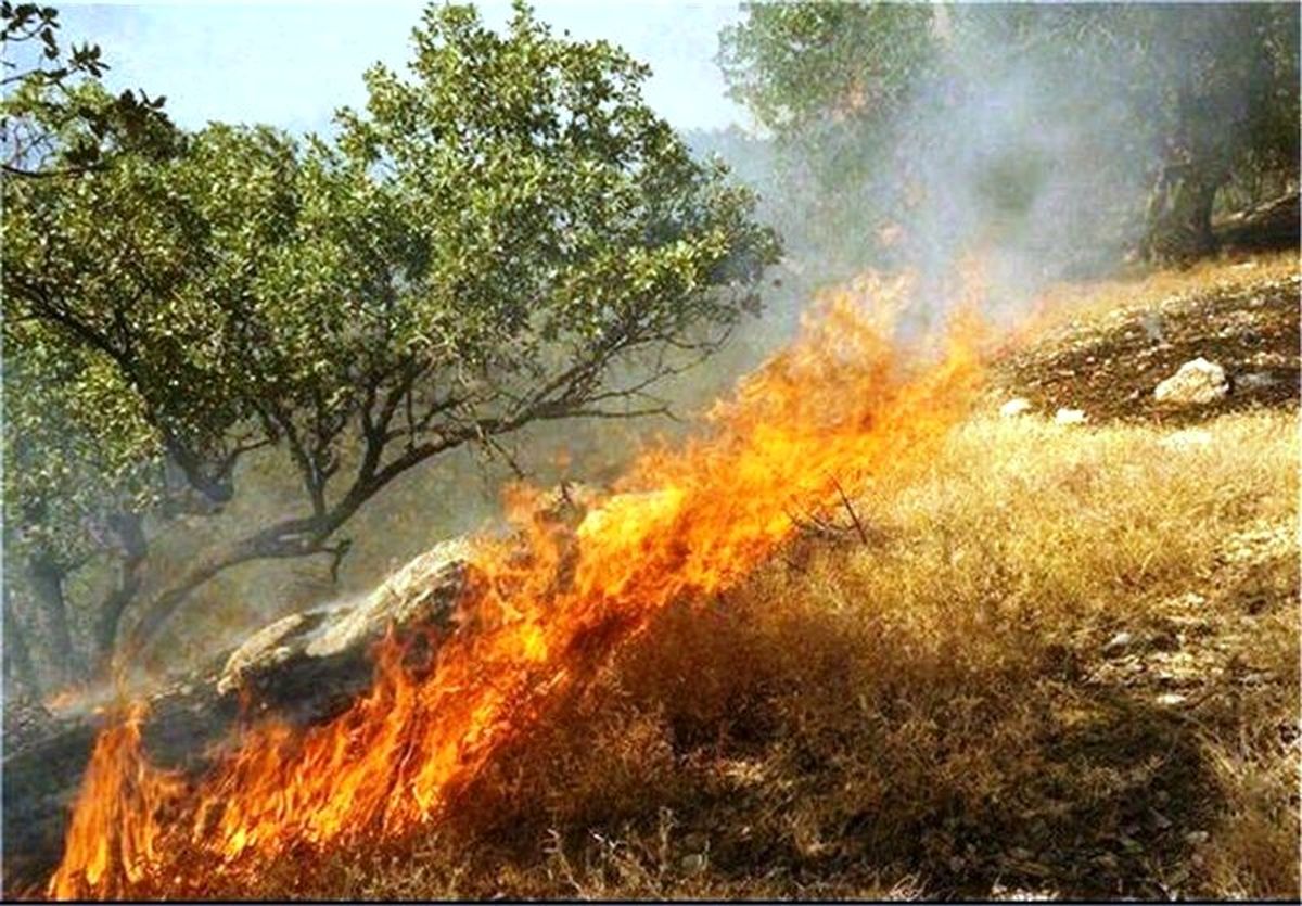 هشدار محیط زیست درباره احتمال وقوع آتش سوزی در مناطق کوهستانی