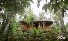 ماجرای پسر ۱۲ ساله‌ای که به علت اختلال رفتاری در اعماق جنگل قرنطینه شده است