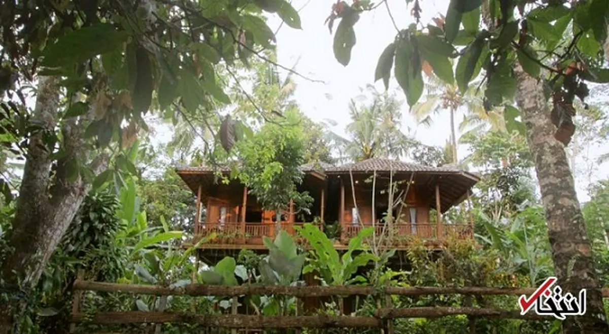 ماجرای پسر ۱۲ ساله‌ای که به علت اختلال رفتاری در اعماق جنگل قرنطینه شده است