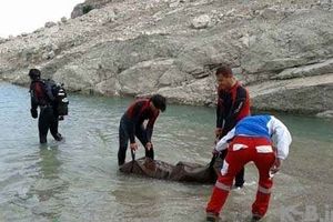 پیدا شدن جسد جوان ۲۸ ساله غرق شده در فردیس