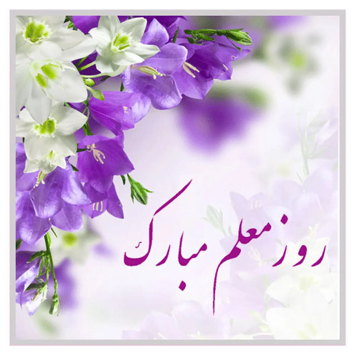 اس ام اس تبریک روز معلم