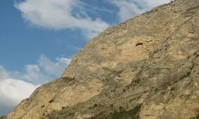 دهانه غار طاق خانه در سوادکوه در دهه 40 کشف شده است
