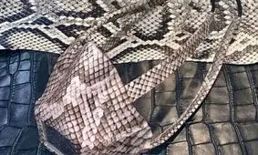 ماسک با پوست خزندگان هم وارد بازار شد