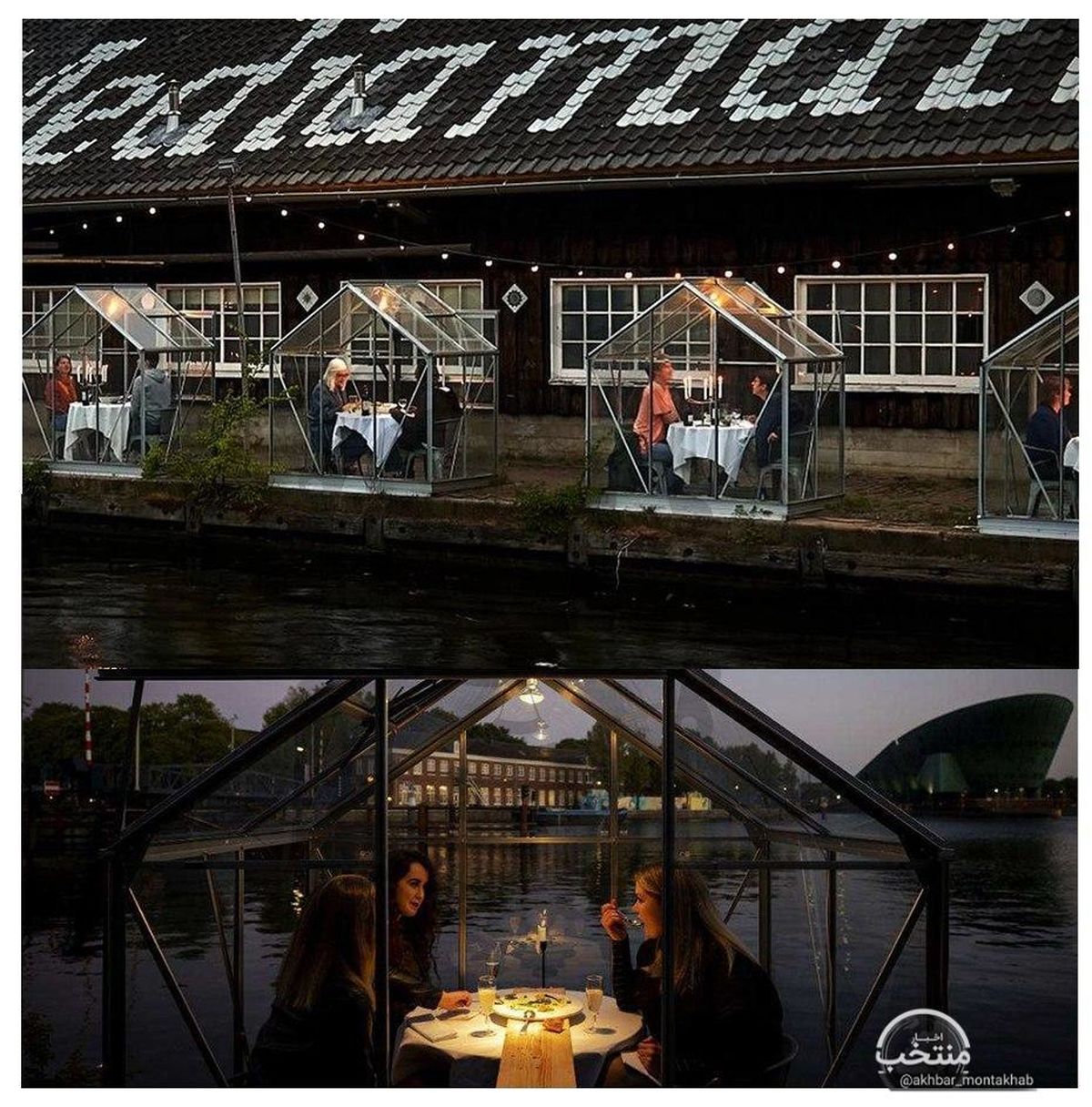 گلخانه قرنطینه؛ رستورانی در آمستردام روش جدیدی معرفی کرده و با اقبال عمومی مواجه شده است