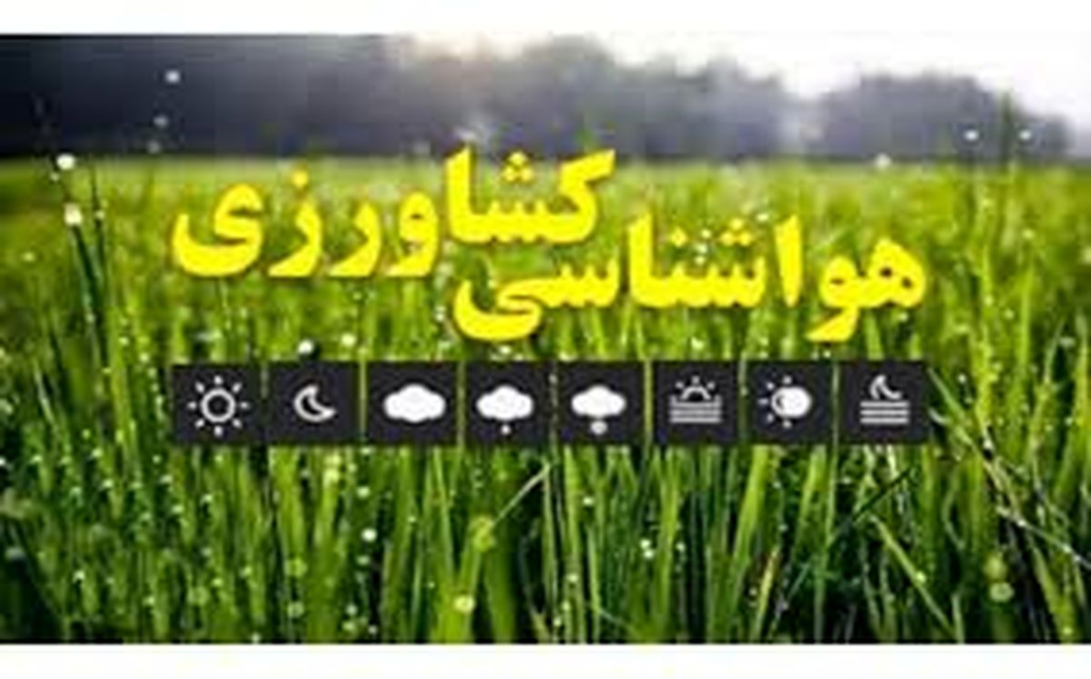از قرار دادن گندم در فضای باز اجتناب کنید