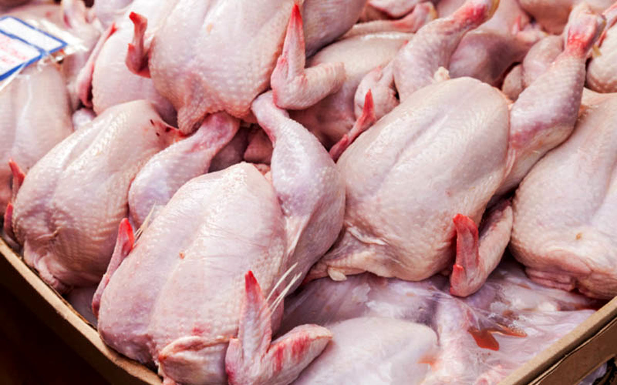 ممنوعیت قطعه کردن مرغ در فروشگاه‌ ها؛ تخلفات را گزارش دهید