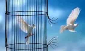 آزادی ۵ زندانی جرایم مالی توسط خیرِ ماکویی