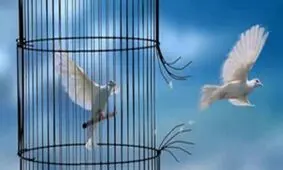 آزادی ۵ زندانی جرایم مالی توسط خیرِ ماکویی
