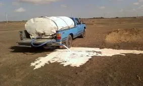 معدوم سازی ۲۲ تن شیرخام غیر بهداشتی در آذربایجان غربی