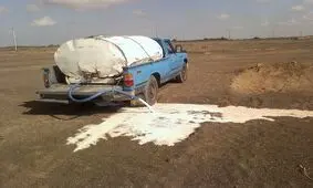 معدوم سازی ۲۲ تن شیرخام غیر بهداشتی در آذربایجان غربی