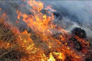 ۱۰ هکتار از مراتع منطقه حفاظت‌شده گنو در آتش سوخت