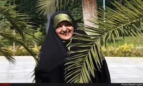 اولین اجلاس بین‌المللی گرد و غبار تیر در تهران برگزار می شود