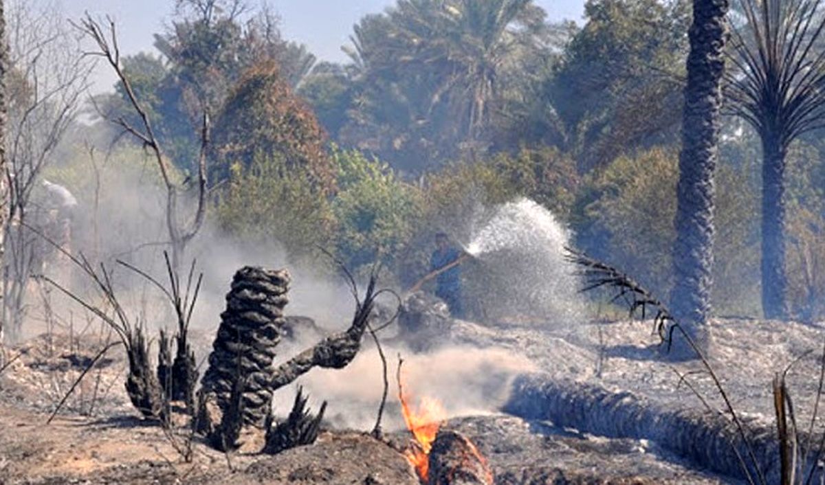 خسارت ۴ میلیارد و ۵۶۰ میلیون ریالی آتش سوزی به باغات میناب