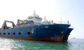 توقیف ۳ فروند شناور صیادی ترال و کشف بیش از ۴۰ تن ماهی در خلیج فارس