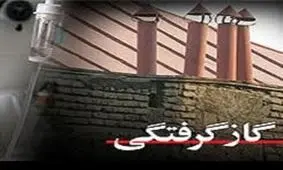 گاز گرفتگی جان ۲۱۰ نفر را گرفت