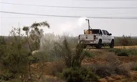 بسیج تمامی امکانات خراسان جنوبی برای مبارزه با ملخ صحرایی/ جای نگرانی نیست