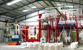 ۲ کارخانه آرد در جنوب استان کرمان احداث می‌شود