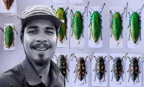 شکار سوسک در سریلانکا جرم است