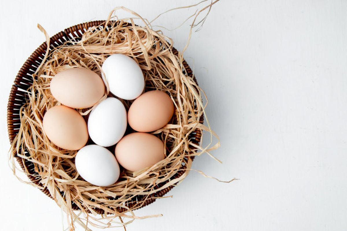 بازار تخم مرغ تعریفی ندارد؛ نرخ منطقی هر شانه تخم مرغ ۲۴ هزار تومان