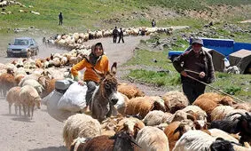عشایر کوچ رو در بدو ورود به شهرستان ازنا غربالگری می‌شوند