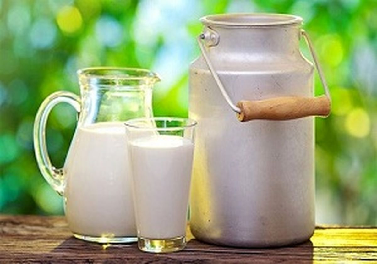 با خوردن شیر لاغر میشویم یا چاق؟