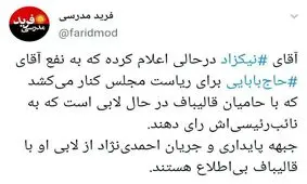 آیا نیکزاد نائب رئیس مجلس می‌شود؟