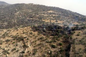 یکهزار و ۱۰۰ هکتار از مراتع کوه سیاه دشتستان در آتش سوخت
