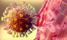 کرونا از طریق تماس پوستی منتقل می‌شود