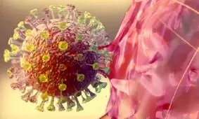 کرونا از طریق تماس پوستی منتقل می‌شود