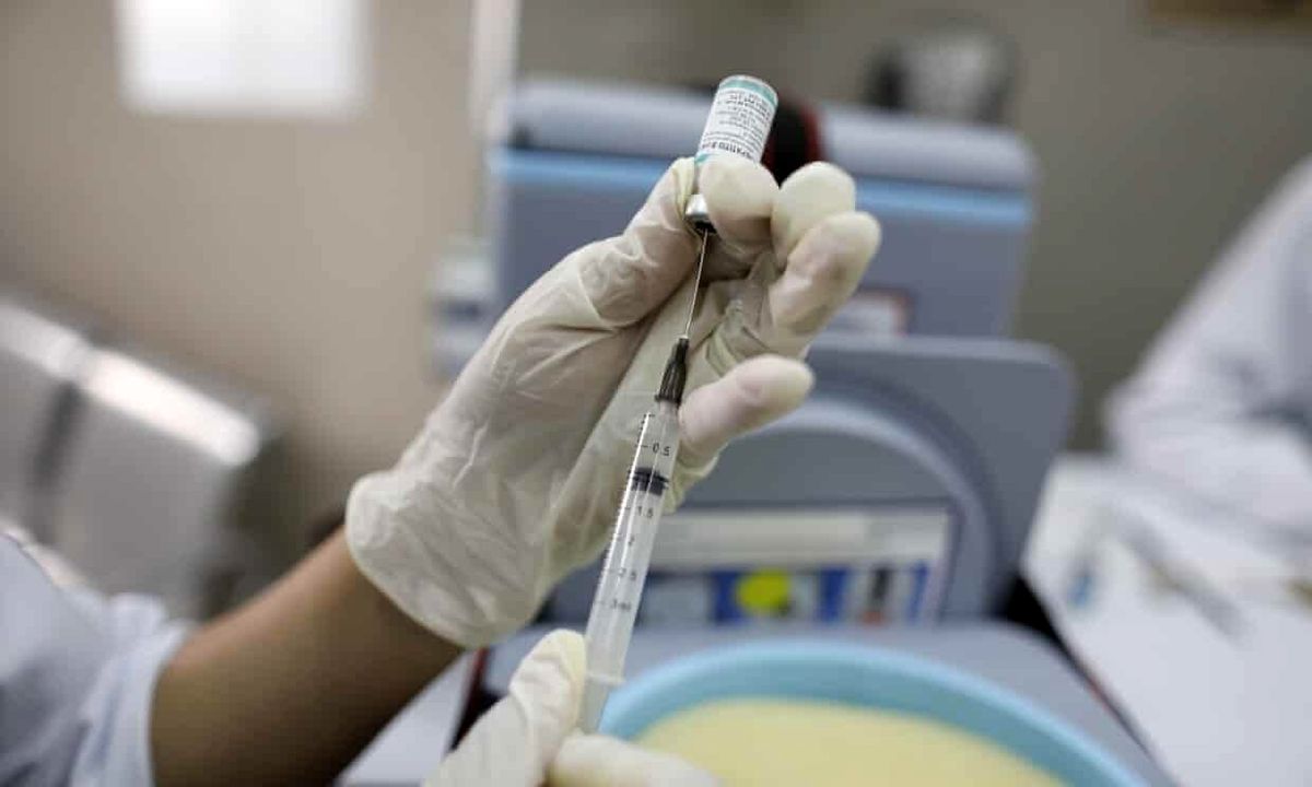 آزمایش موفق واکسن کرونا بر روی میمون در روسیه