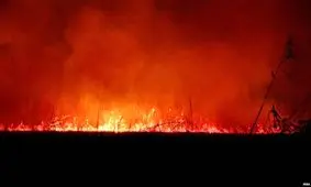 عاملان آتش‌سوزی بوستان ولایت دستگیر شدند