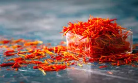 طلای سرخ ارزان شد؛ قاچاق پیاز زغفران از سر گرفته شد