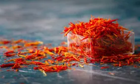 طلای سرخ ارزان شد؛ قاچاق پیاز زغفران از سر گرفته شد